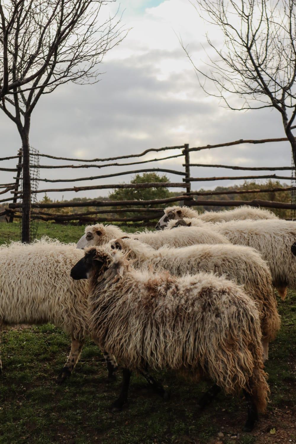 Chez Marthe, Organic Farm Stay Knin Bagian luar foto