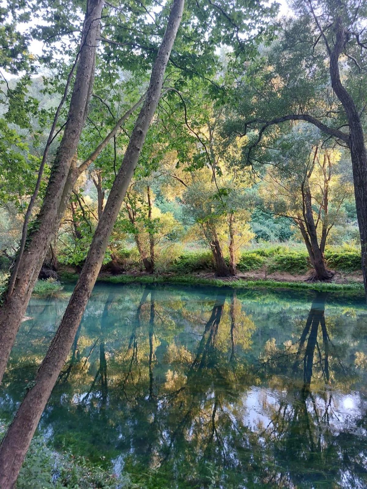 Chez Marthe, Organic Farm Stay Knin Bagian luar foto