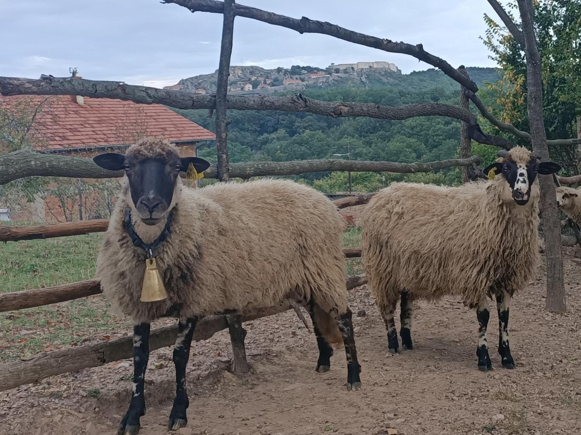 Chez Marthe, Organic Farm Stay Knin Bagian luar foto
